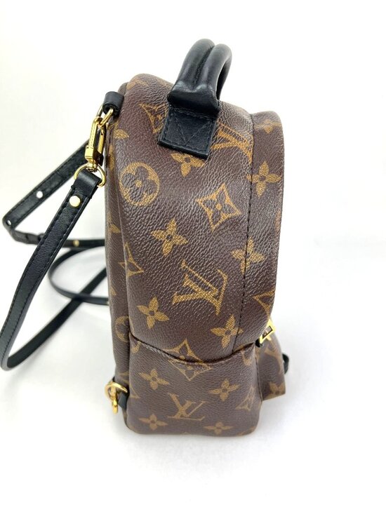 Louis Vuitton Palm Springs Mini Monogram Backpack Bag